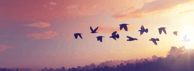 marketing strategies