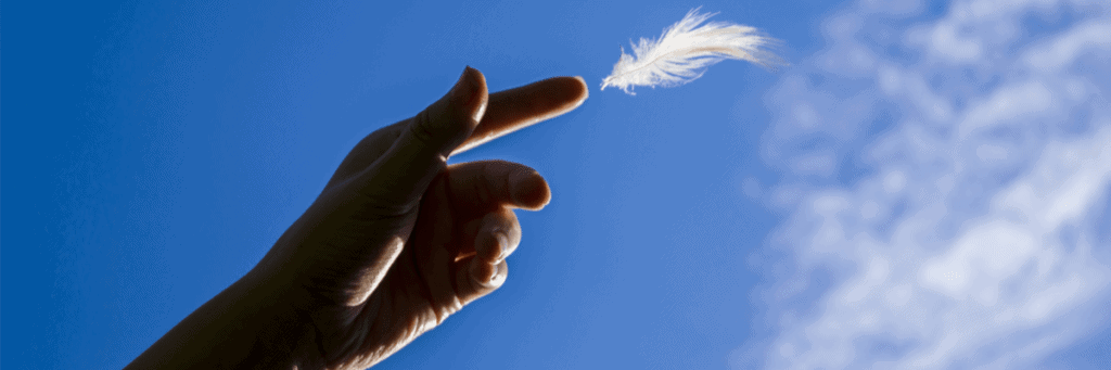 account management business profit