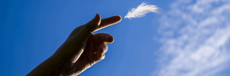 account management business profit