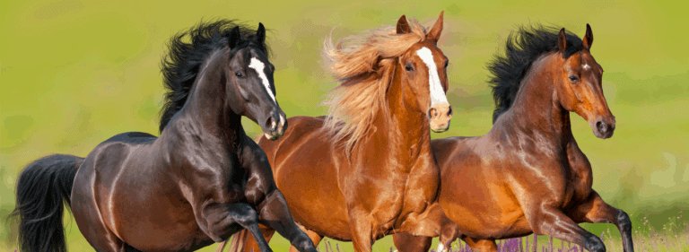 sales attitude mindset