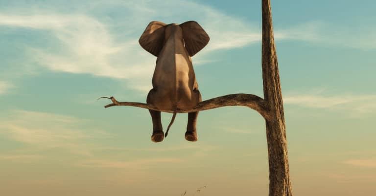 break your fear of rejection into doable doses