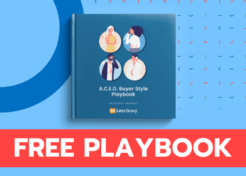 aced playbook selling to the four buyer style types