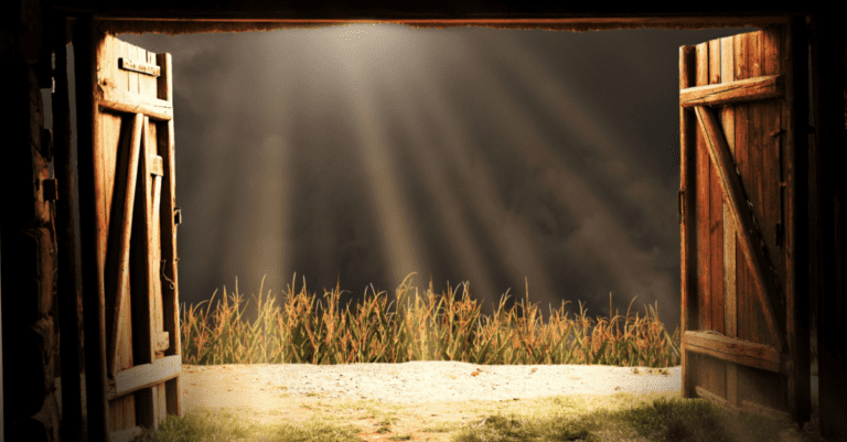 Customer Relationships